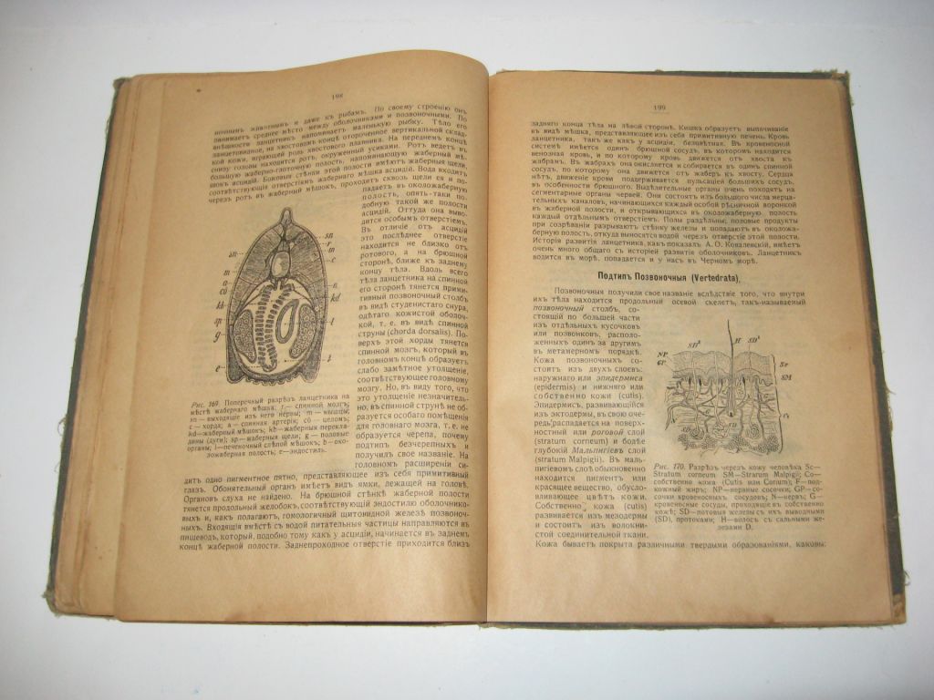 Книга Медицинская зоология учебник зоологии А. Никольский 1916 г. - фото фото фото 11