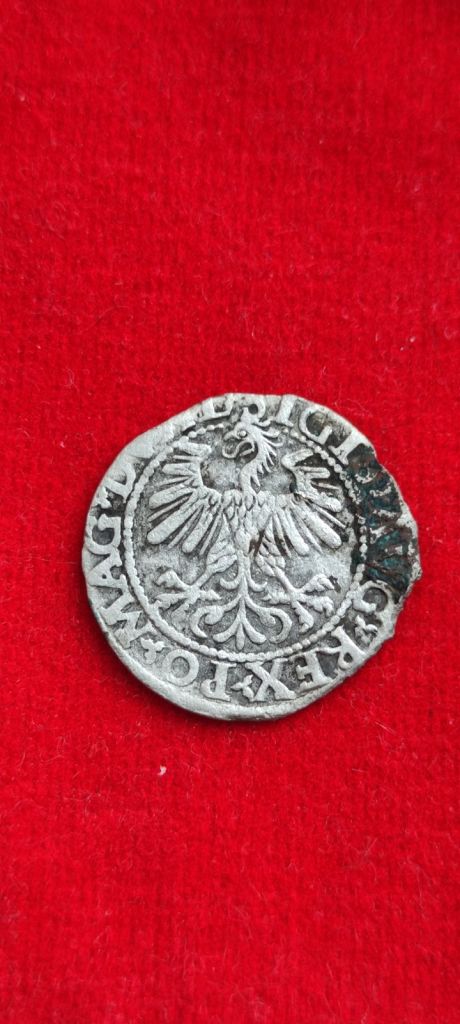 1560г монета   полугрош серебро,Литва, интересная kr136 - фото фото фото 3