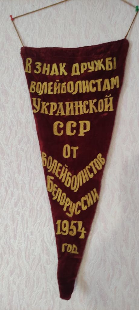 Вымпел 1954 года СССР бархат  pg841 - фото фото фото 2