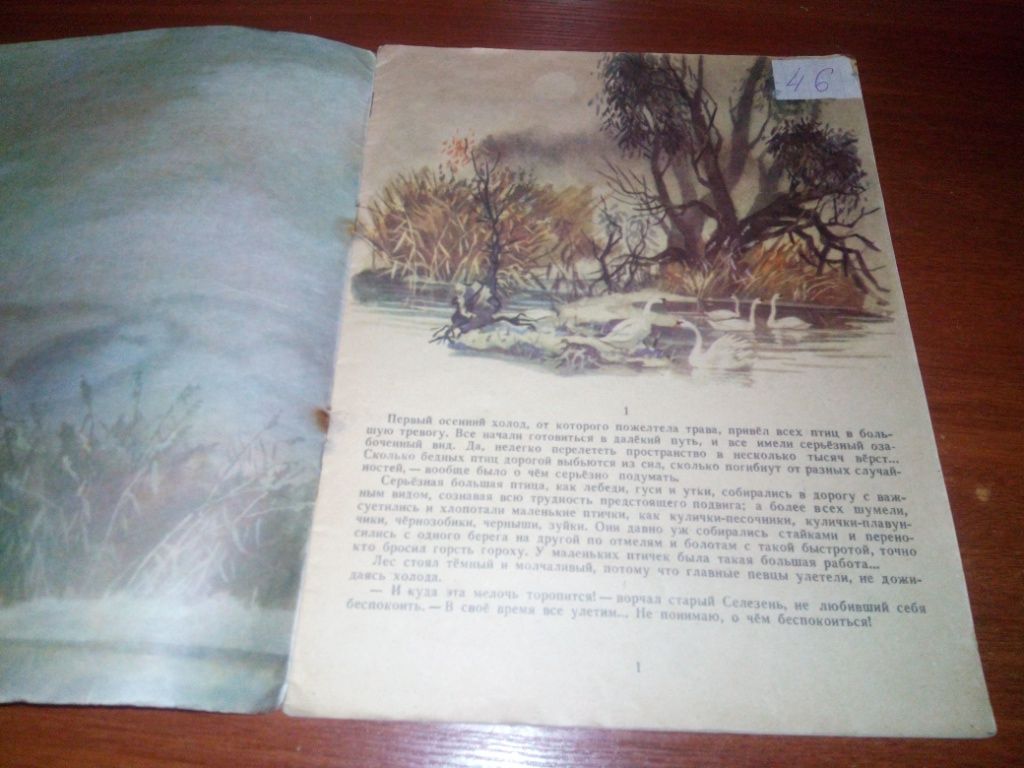 Мамин-Сибиряк СЕРАЯ ШЕЙКА  (Книжка-картинка) - фото фото фото 1