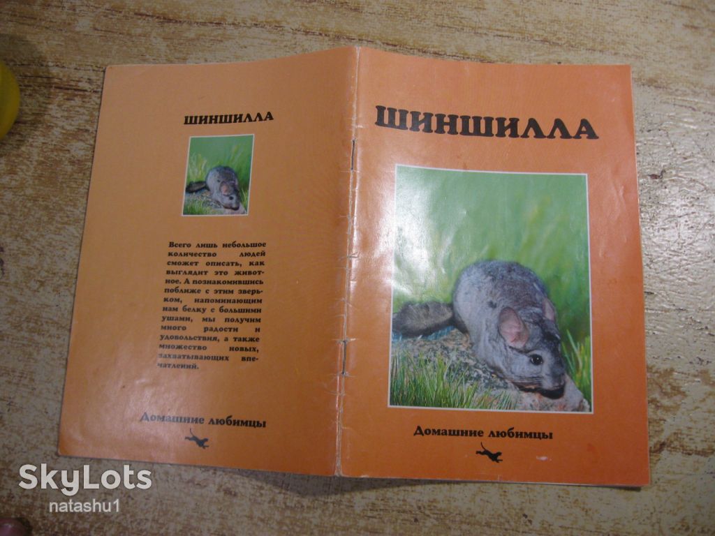 шиншила 1998г - фото фото фото 5
