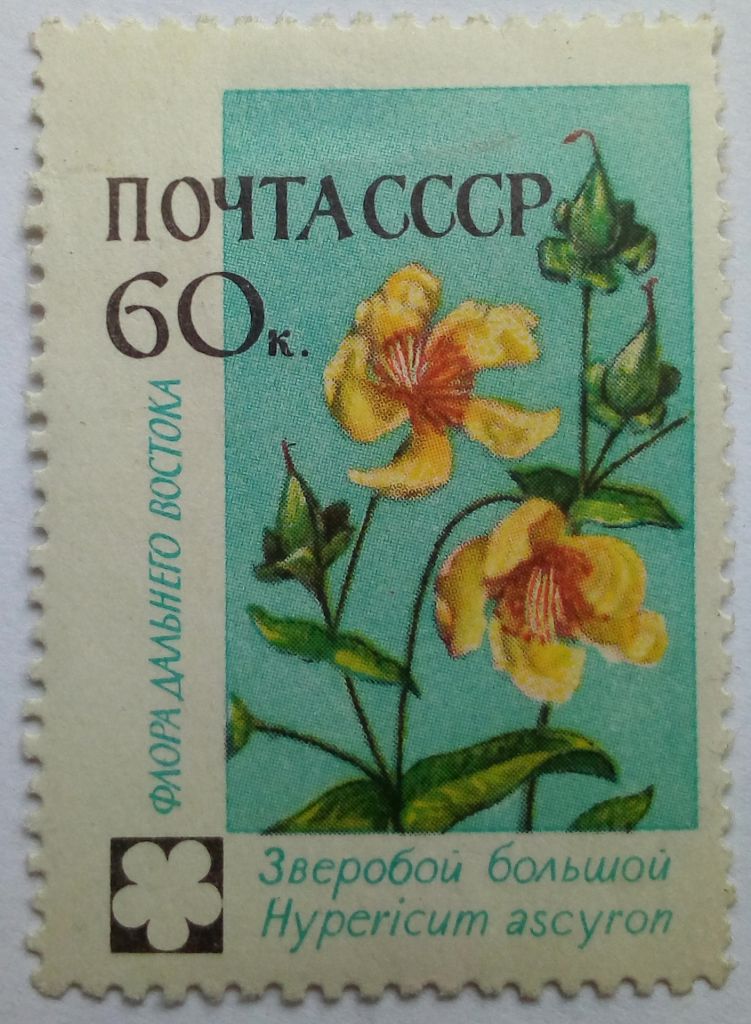 СССР 1960 Цветы, 60к., MLH - фото фото фото 0