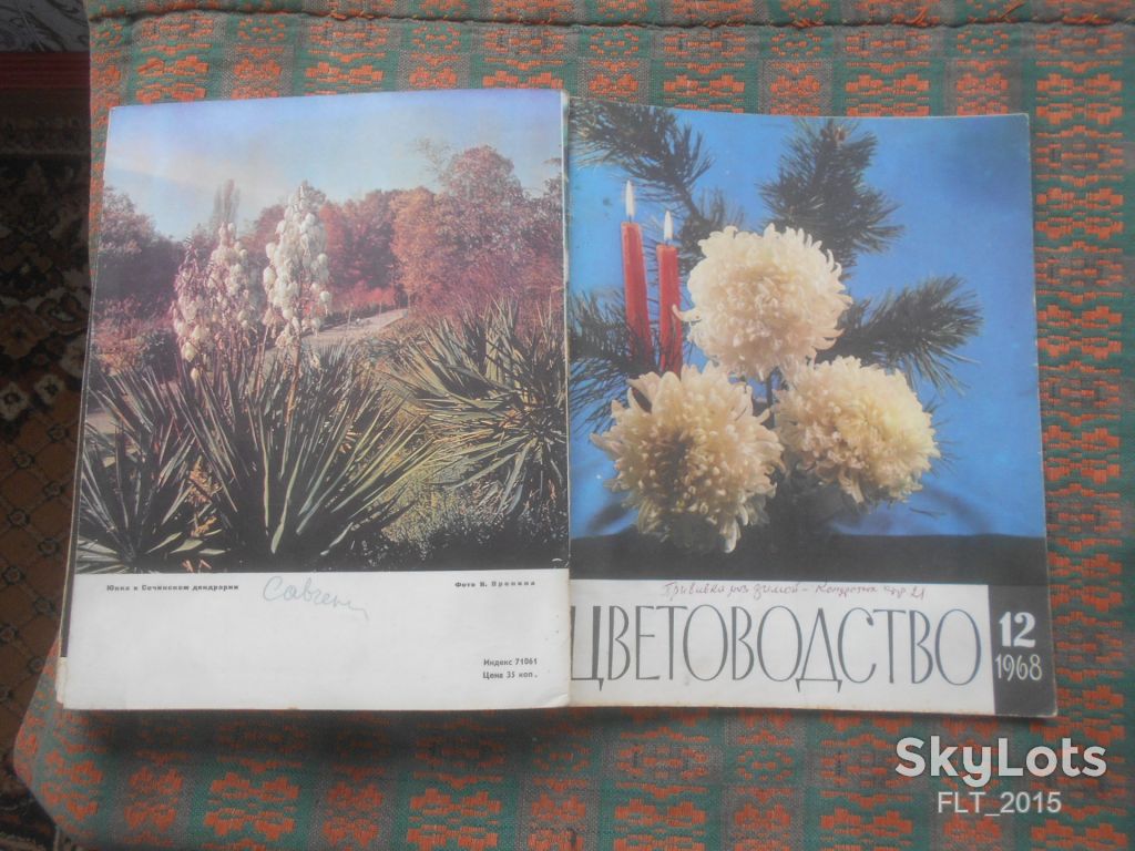 Цветоводство  1968 г.  Годовая - фото фото фото 10