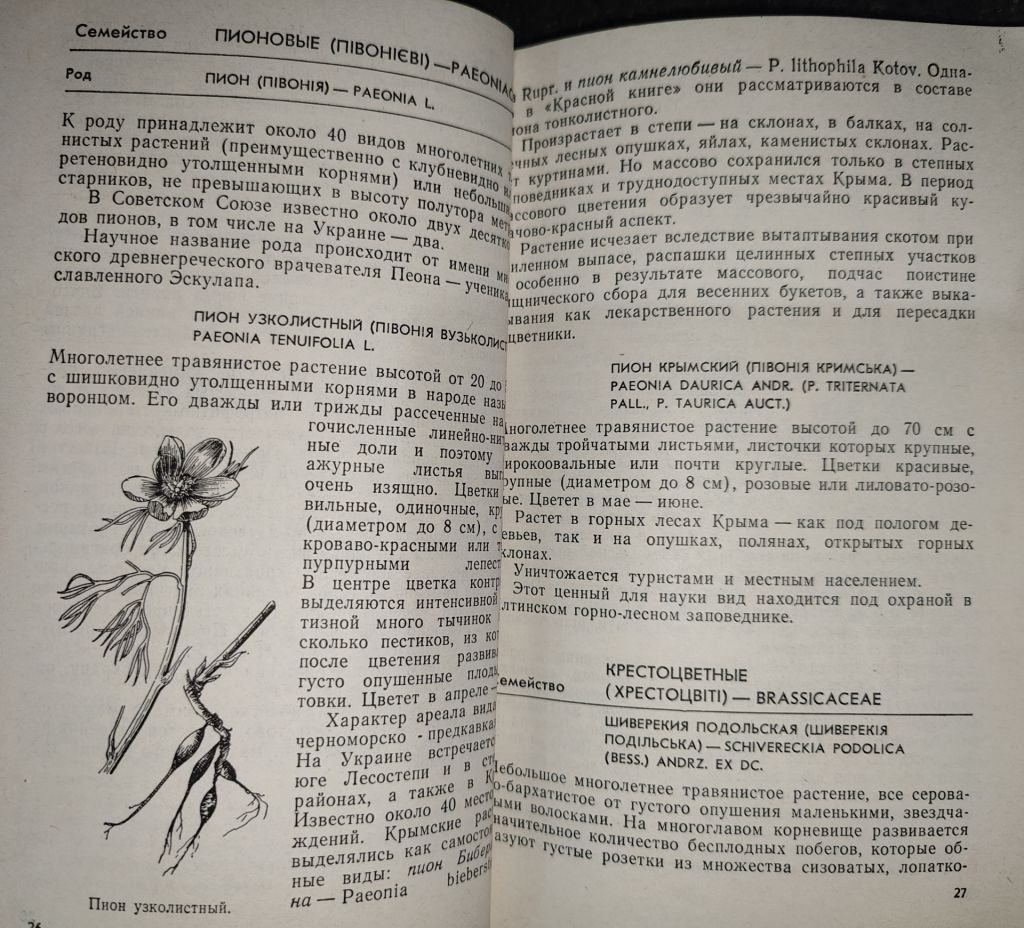 книги: ОХРАНЯЕМЫЕ РАСТЕНИЯ УКРАИНЫ 1983 - фото фото фото 3