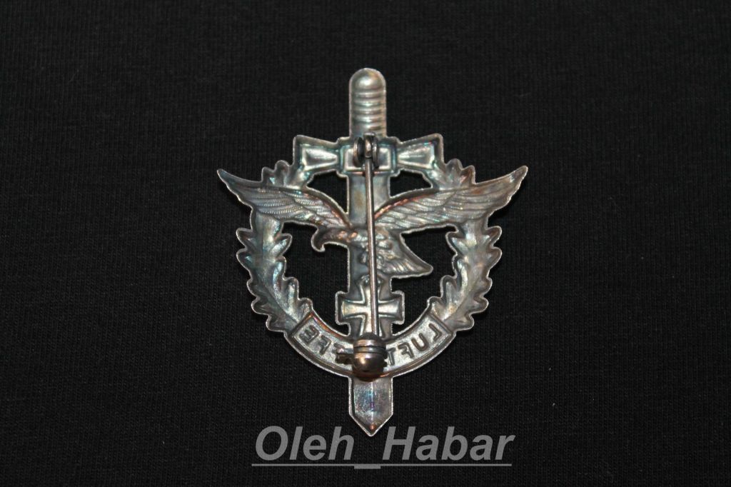 Значок Luftwaffe Орел Меч   (копія)   (1316) - фото фото фото 1