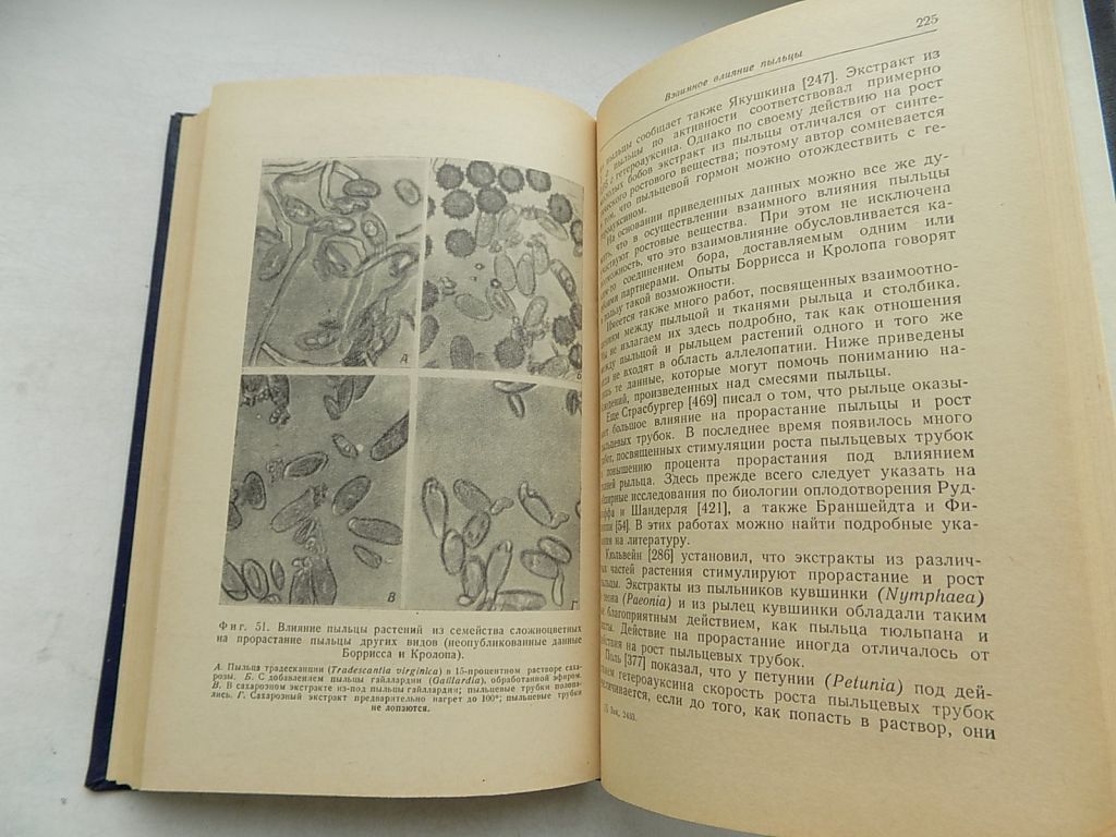 Книга Г.Грюммер Взаимное влияние высших растений - аллелопатия - фото фото фото 5