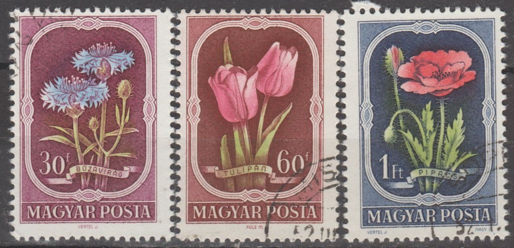 Венгрия Угорщина 1951 флора - фото фото фото 0