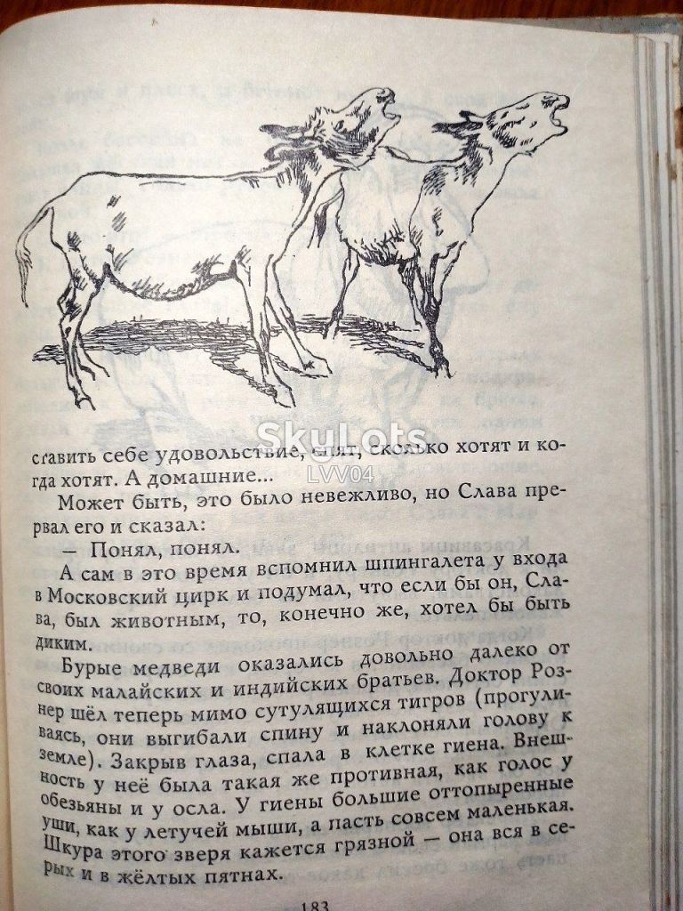 Ефетов. Звери на улице. Рисунки И. Година - фото фото фото 5