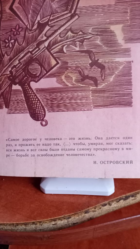 Дмитрий Нагишкин. Сердце Бонивура. - фото фото фото 3