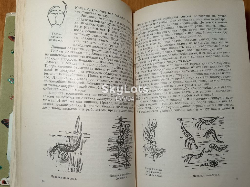 Плавильщиков. Юным любителям природы - фото фото фото 8