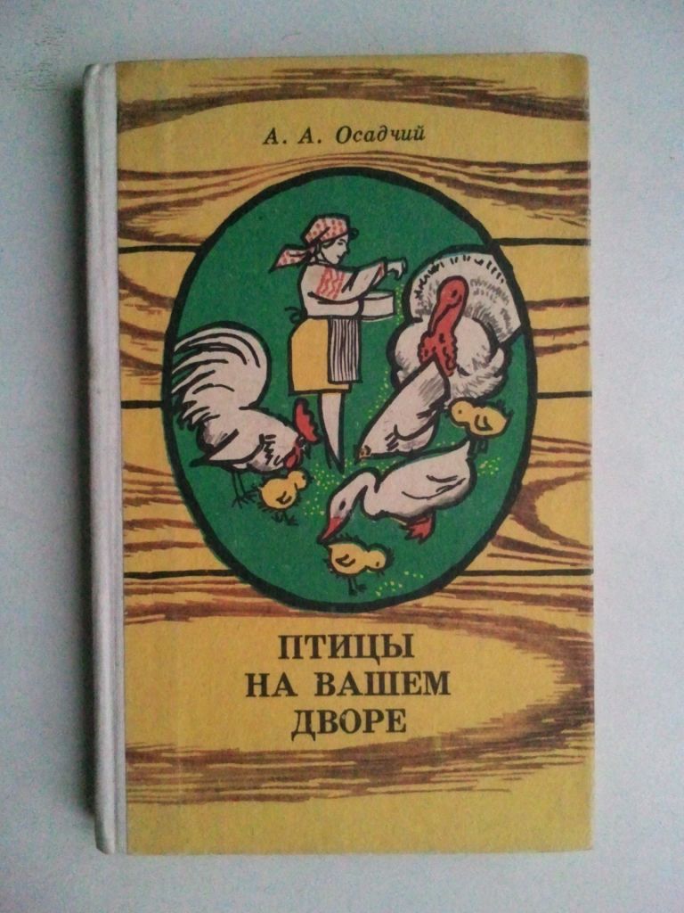 Птицы на вашем дворе. - фото фото фото 0