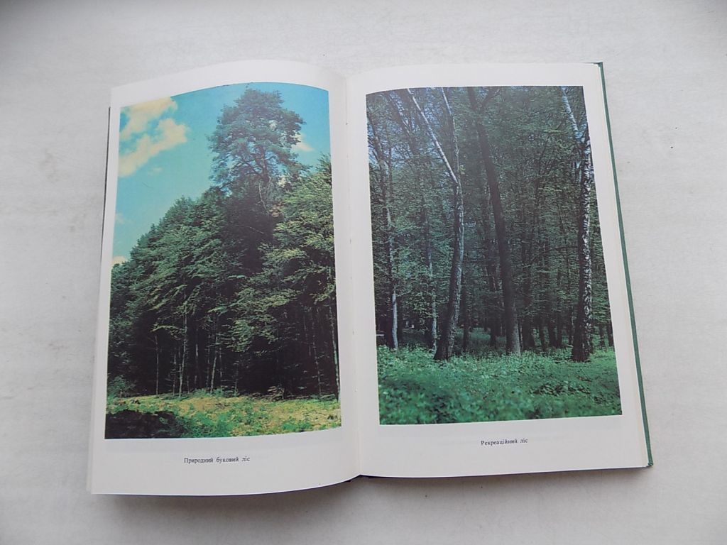 Книга С.Генсірук В.Кучерявий Л.Гайдарова В.Бондаренко Зелені скарби України - фото фото фото 5