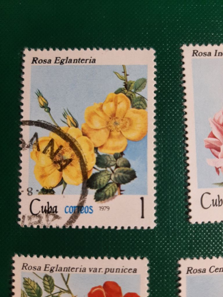 Марки Сuba correos rosa 1979  (розы, 6 шт) - фото фото фото 1