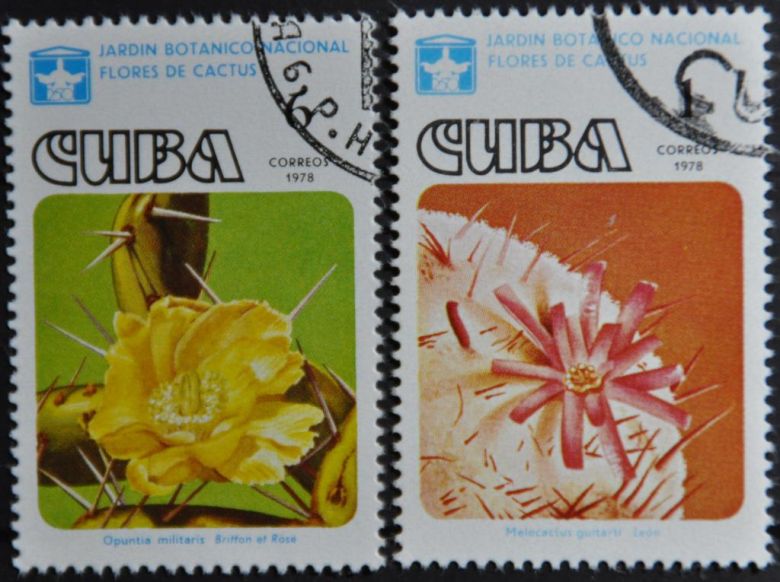 Куба Флора Цветы Кактус 1978 - фото фото фото 0