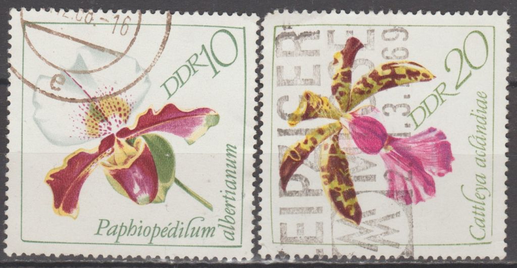Германия Німеччина ГДР 1968 флора цветы - фото фото фото 0