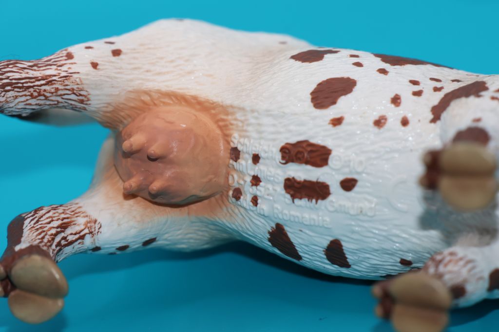 корова SCHLEICH 90-100мм серія ДИКИЙ ЗАХІД - фото фото фото 2
