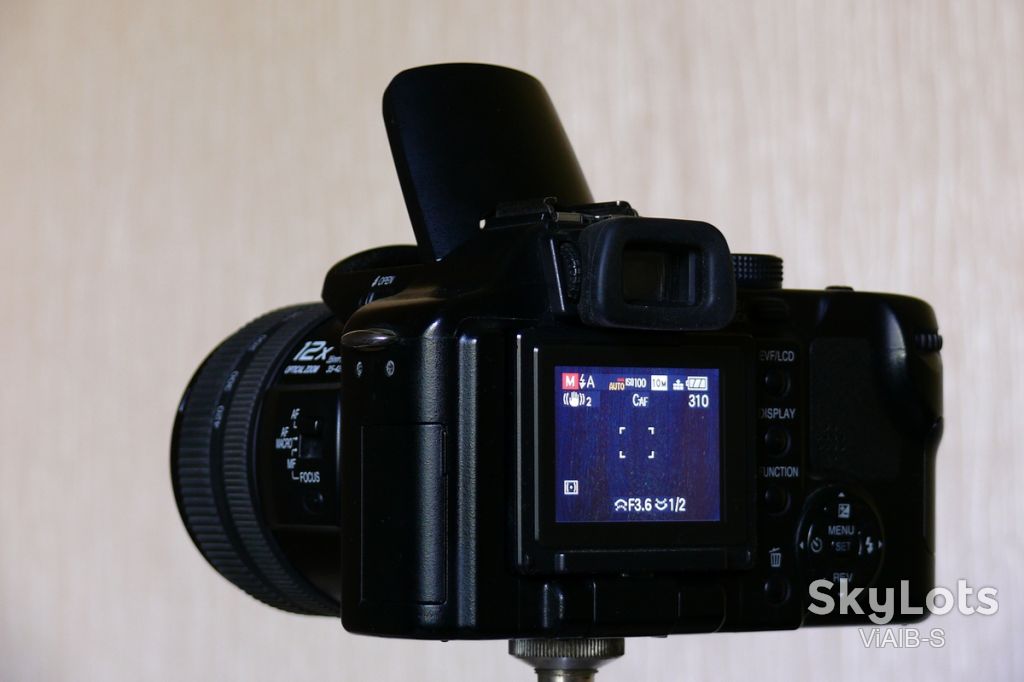 Panasonic DMC-FZ50          (12хUltraZoom, CCD, Leica Lens, LCD, RAW). - фото фото фото 2