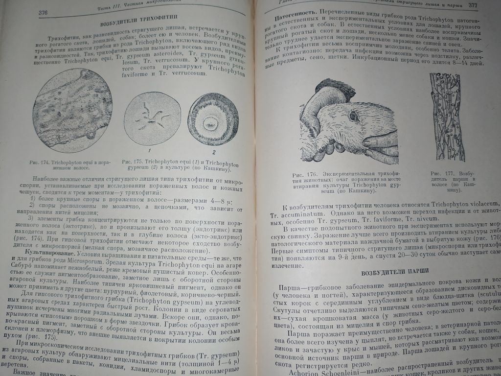 книга: ВЕТЕРИНАРНАЯ МИКРОБИОЛОГИЯ 1952г. - фото фото фото 6