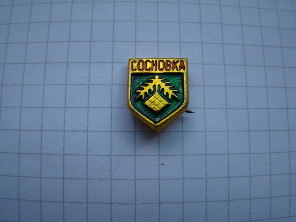Значок г.Сосновка. - фото фото фото 0