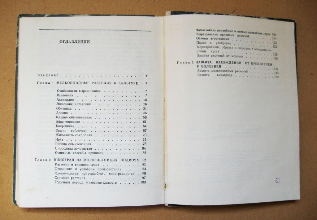 ПРИУСАДЕБНЫЕ ВИТАМИННЫЕ РАСТЕНИЯ = А.Сирота = ХАРЬКОВ - 1982 г. - фото фото фото 2