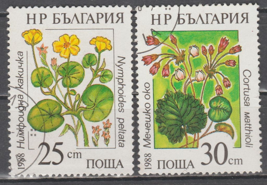 Болгария Болгарія 1988 флора - фото фото фото 0