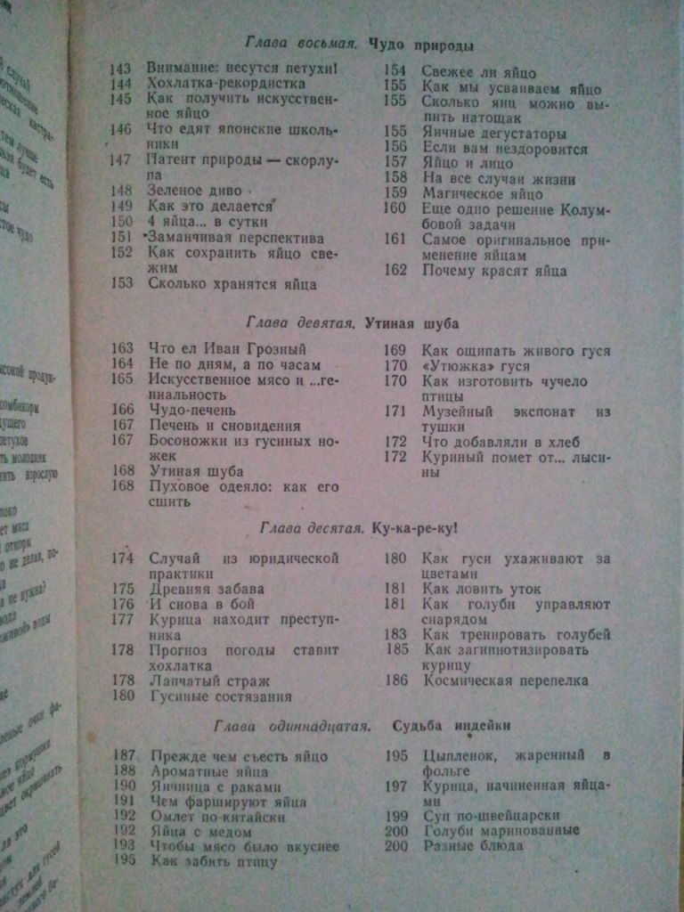 Птицы на вашем дворе. - фото фото фото 5