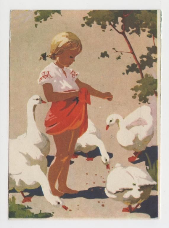 Гусятниця 1959 Кислякова Р1 - фото фото фото 0