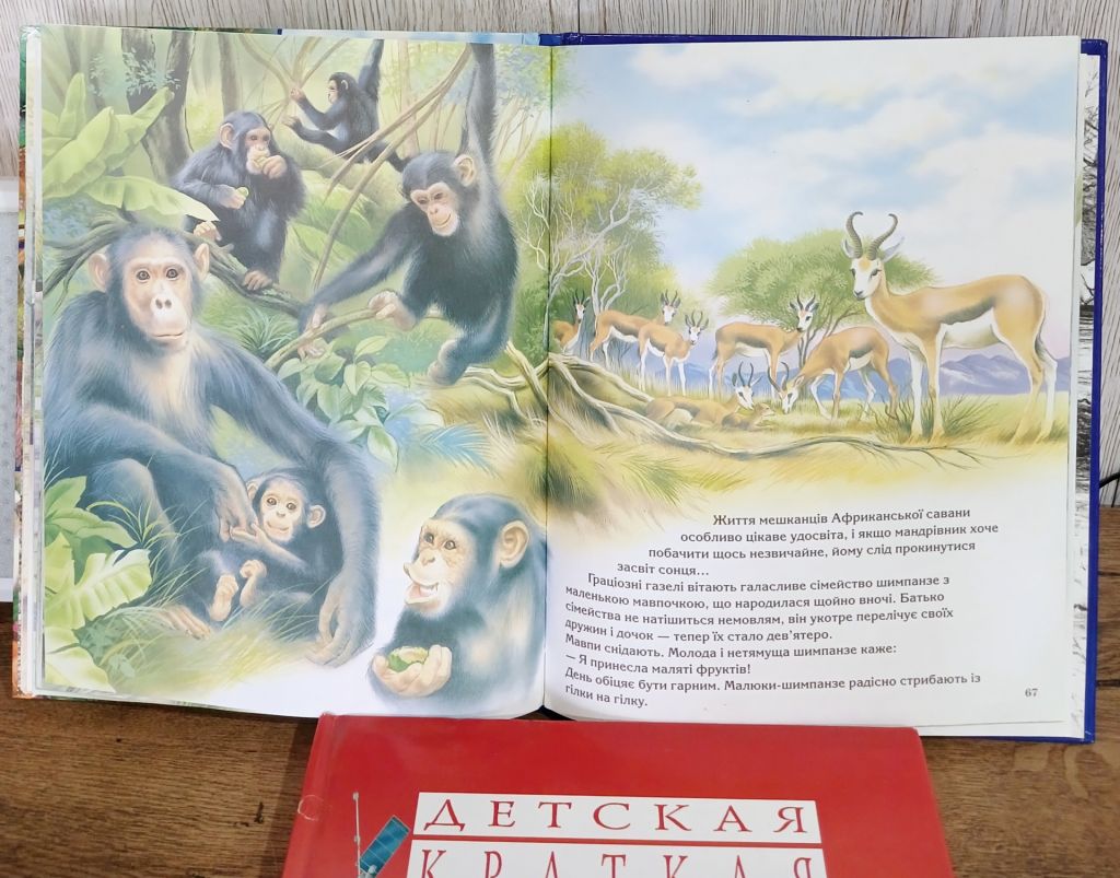 «Сусіди по планеті»  (книга для дітей молодшого та середнього віку) - фото фото фото 5