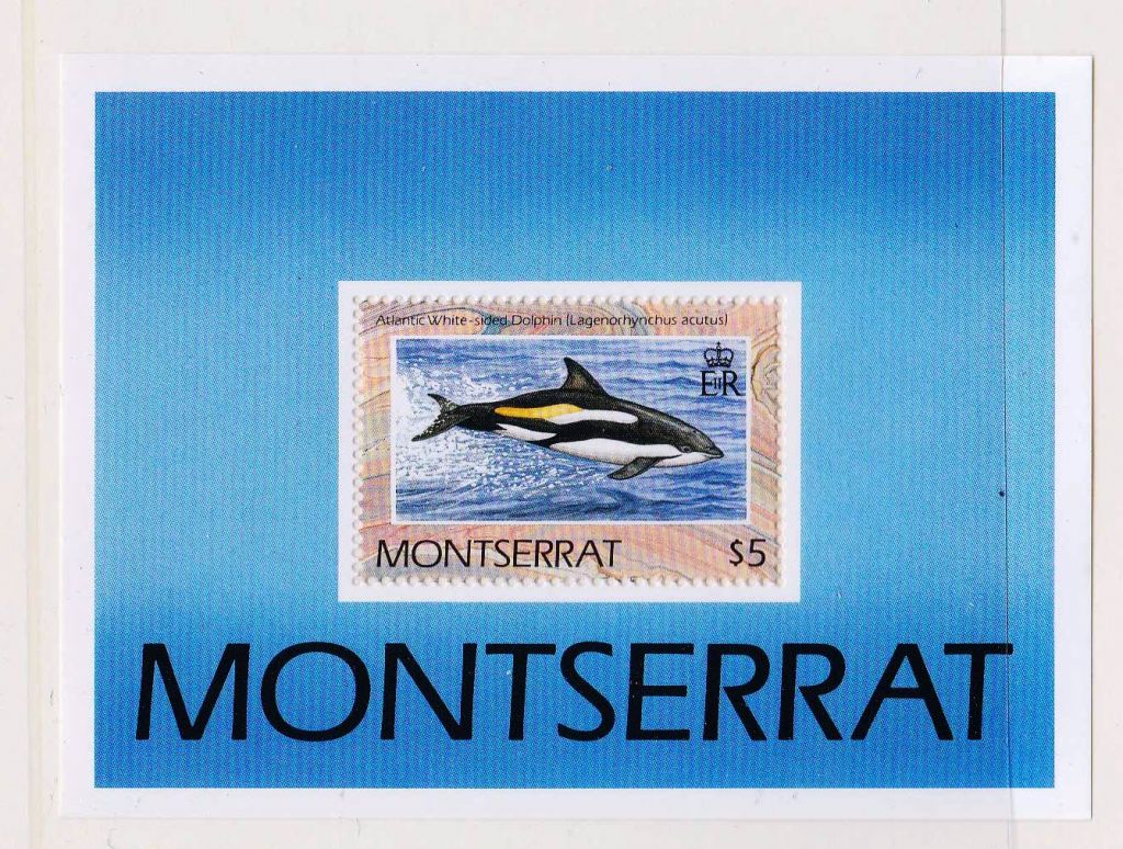 NM Фауна .  Монсеррат 1990 г  MNH - блок - дельфин - фото фото фото 0