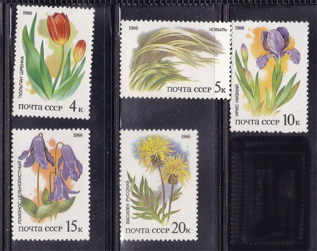 СССР  1986 г   MNH - флора - фото фото фото 0