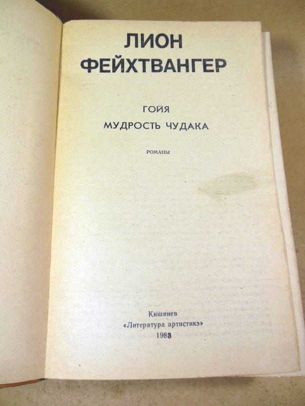Лион Фейхтвангер. Гойя. Мудрость чудака - фото фото фото 1