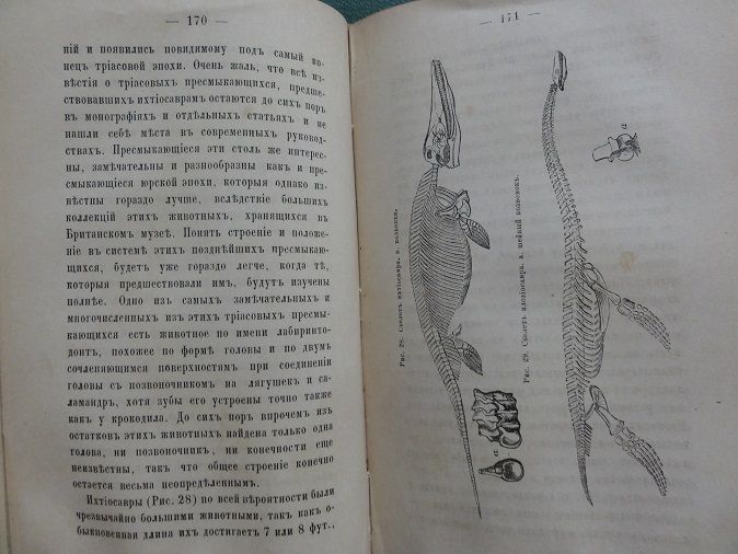 Геологические очерки. Л. Агассиса. 1867г - фото фото фото 5