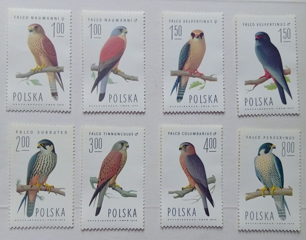 Польша 1975 Соколы, птицы, MNH  (КЦ=7 евро) - фото фото фото 0