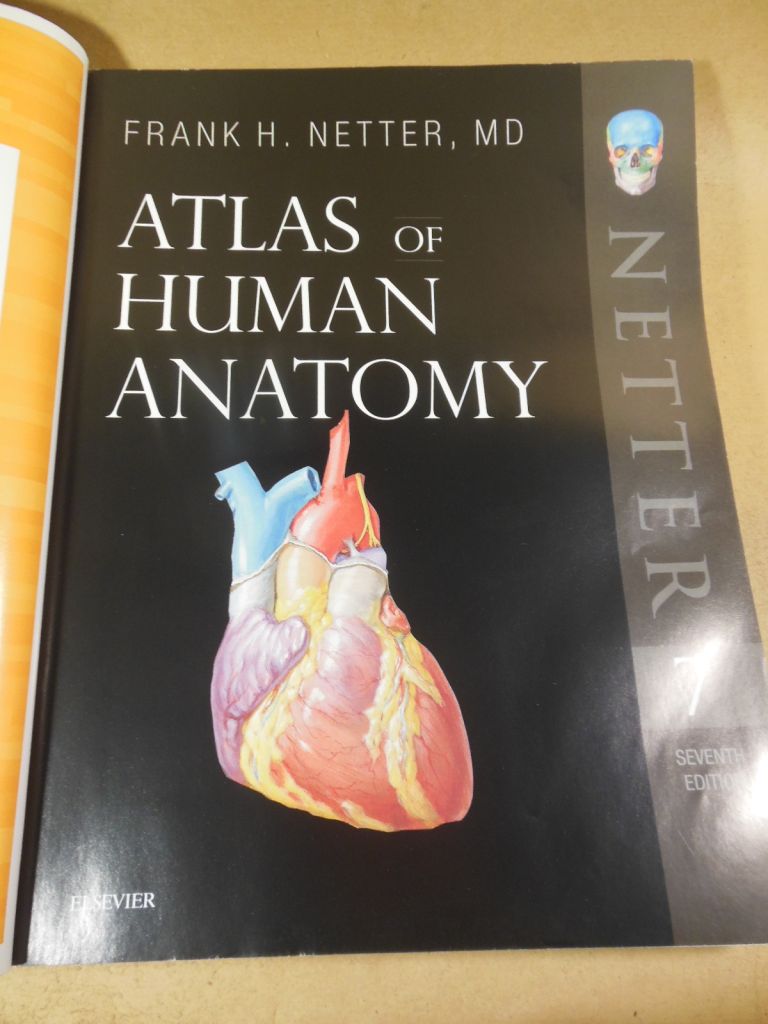 Frank H. Netter. Atlas of Human Anatomy  (7th Edition) - фото фото фото 1