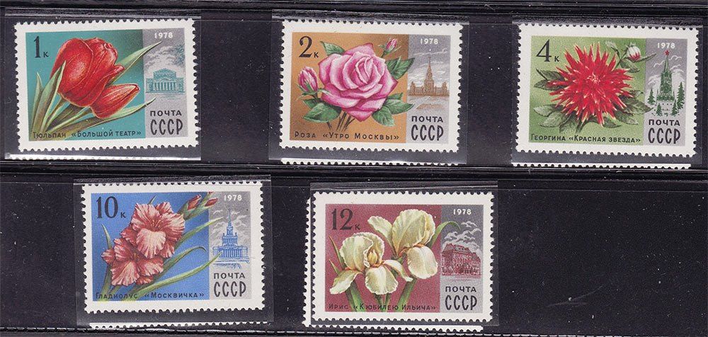 СССР 1978 г  MNH - флора - цветы - фото фото фото 0
