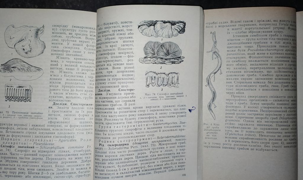 книги: НИЖЧІ РОСЛИНИ 1978р. КОРИСНІ НИЖЧІ РОСЛИНИ 1968р. - фото фото фото 5