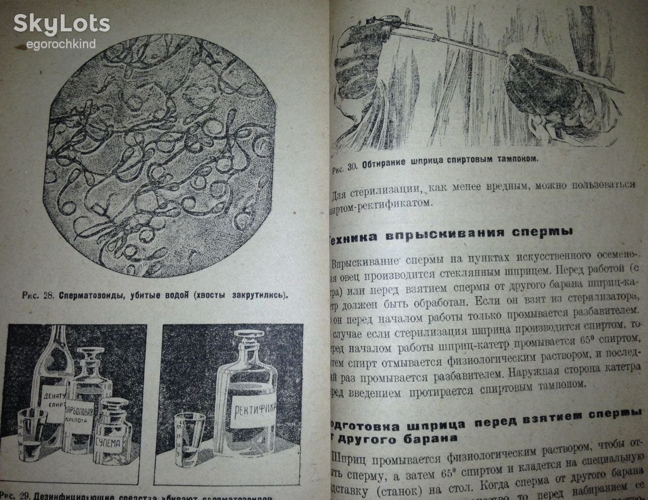 книга: ИСКУССТВЕННОЕ ОСЕМЕНЕНИЕ ОВЕЦ В КОЛХОЗАХ 1934г. - фото фото фото 7