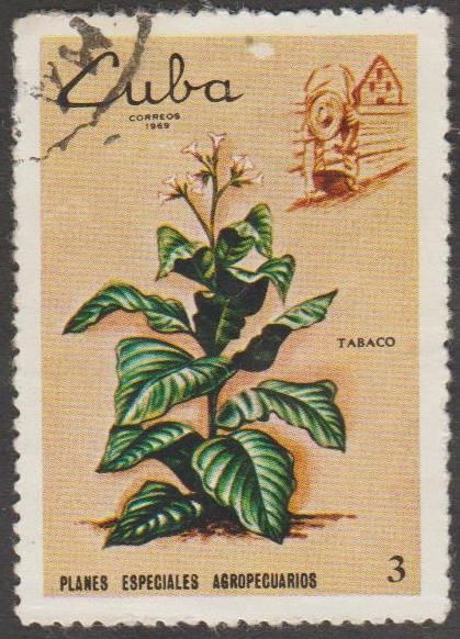 Куба 1969 флора табак - фото фото фото 0