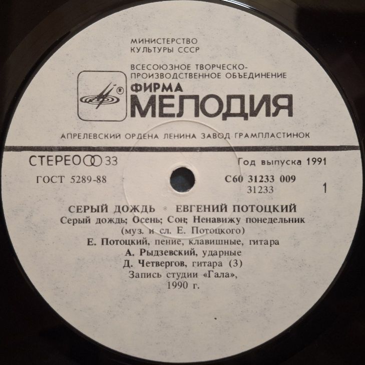 Евгений Потоцкий - Серый Дождь - 1990.  (LP). 12. Vinyl. Пластинка. Rare. - фото фото фото 2