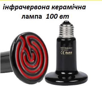 Лампа термічна інфрачервона керамічна 100 Вт.брудер для обігрівання курчат, тераріумів - фото фото фото 0