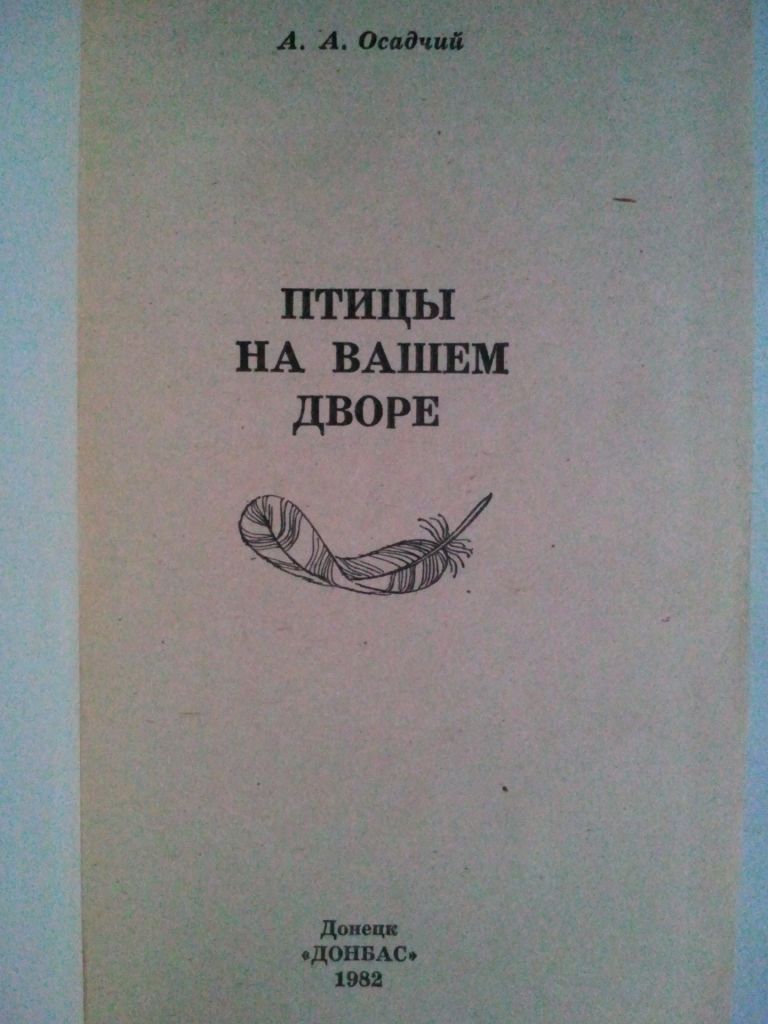 Птицы на вашем дворе. - фото фото фото 1