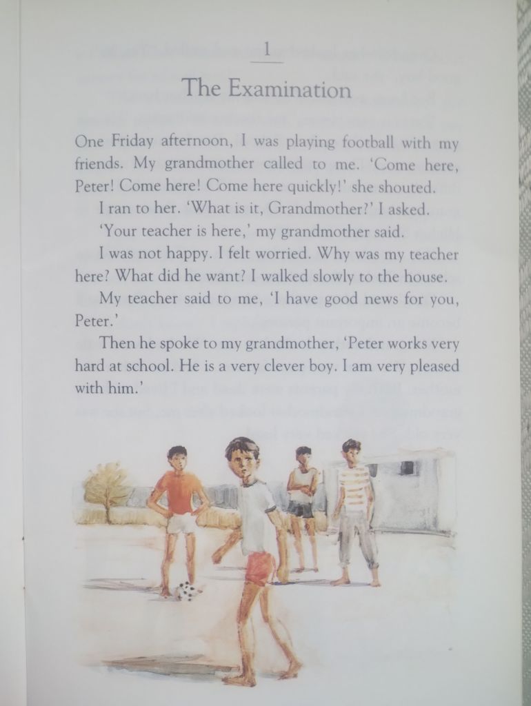 Winning and Losing — T.C. Jupp  (Heinemann Guided Readers) — Beginner - фото фото фото 5