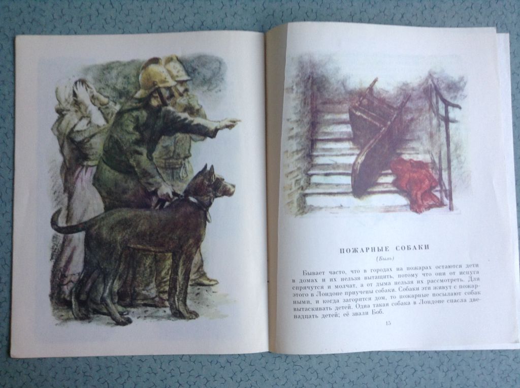 Книга для детей Л.Н.Толстой. Акула. Москва, 1981 г. - фото фото фото 9