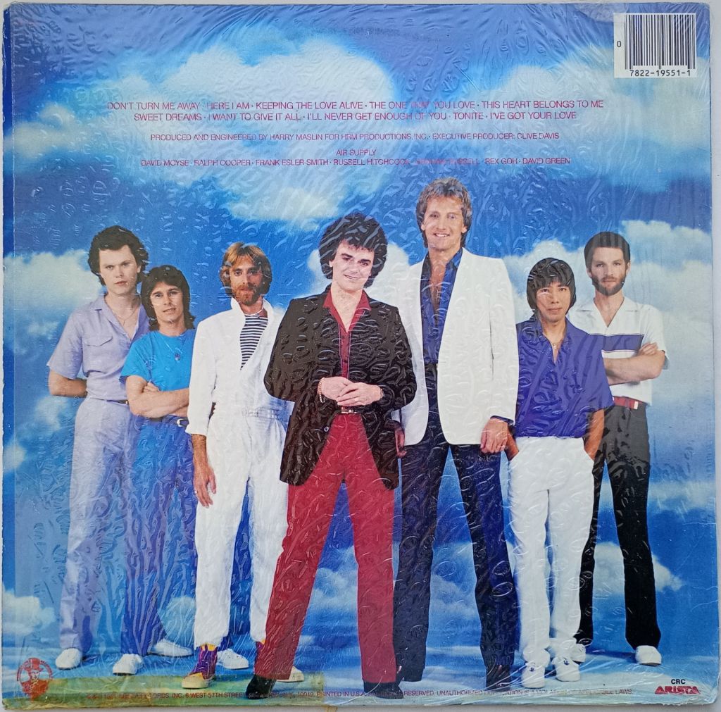 AIR SUPPLY The One That You Love LP VG+/EX- - фото фото фото 1
