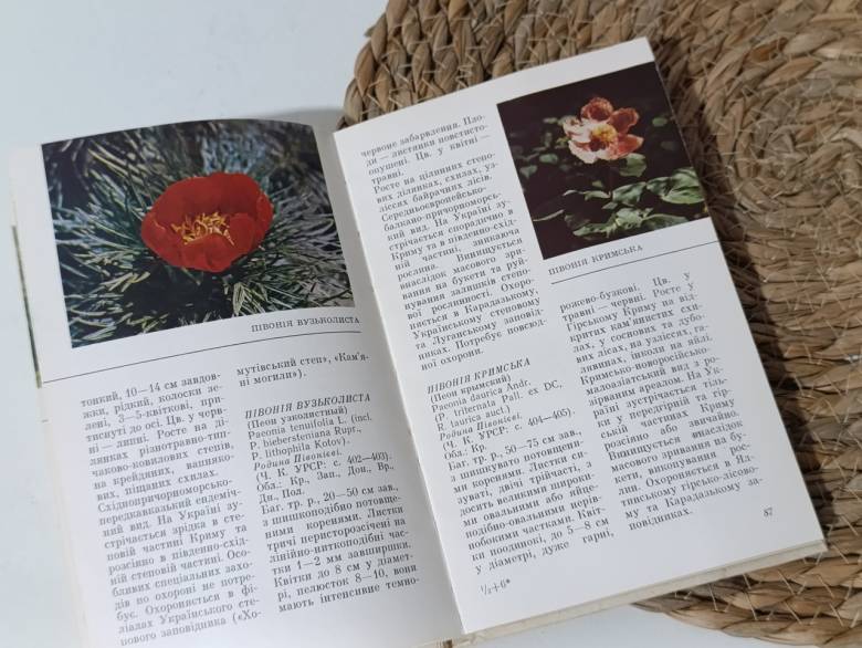 Растения Красной книги Б. В. Заверуха, Ю. С. Шемшученко, В. И. Бабенко 1985 - фото фото фото 3