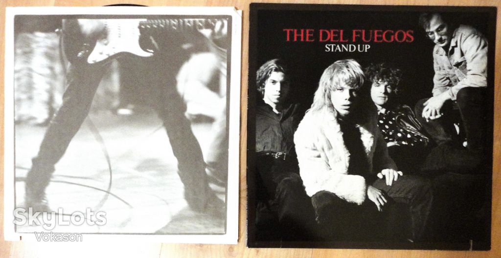 The Del Fuegos - Stand Up  NM/EX+/Mint - фото фото фото 3