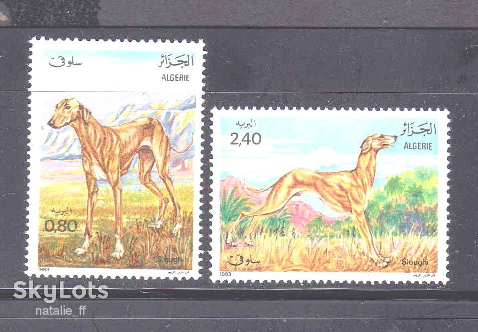 Фауна . Алжир 1983 г MNH - собаки - фото фото фото 0