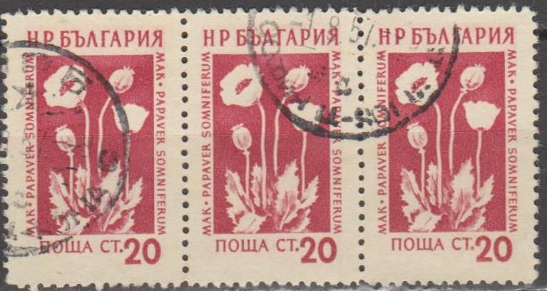 Болгария Болгарія 1953 флора сцепка - фото фото фото 0