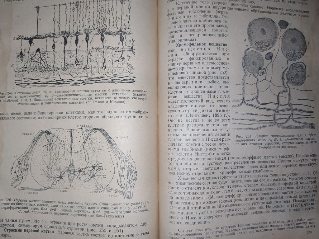 книга: ОСНОВЫ ГИСТОЛОГИИ И ГИСТОГЕНЕЗА ЧЕЛОВЕКА. Часть I. 1931г. - фото фото фото 11