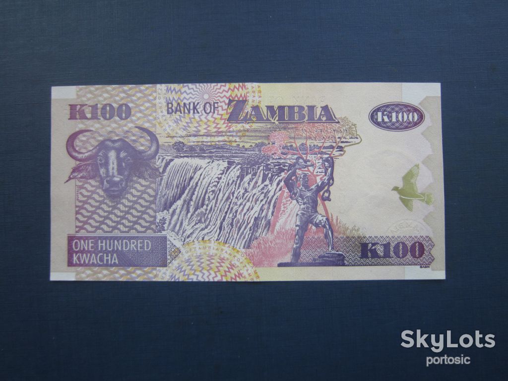 Банкнота 100 квача Замбія 2003 фауна птах буйвол з обігу стан - фото фото фото 1